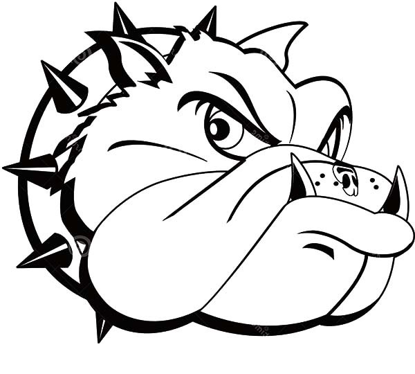 English Bulldog Coloring Pages