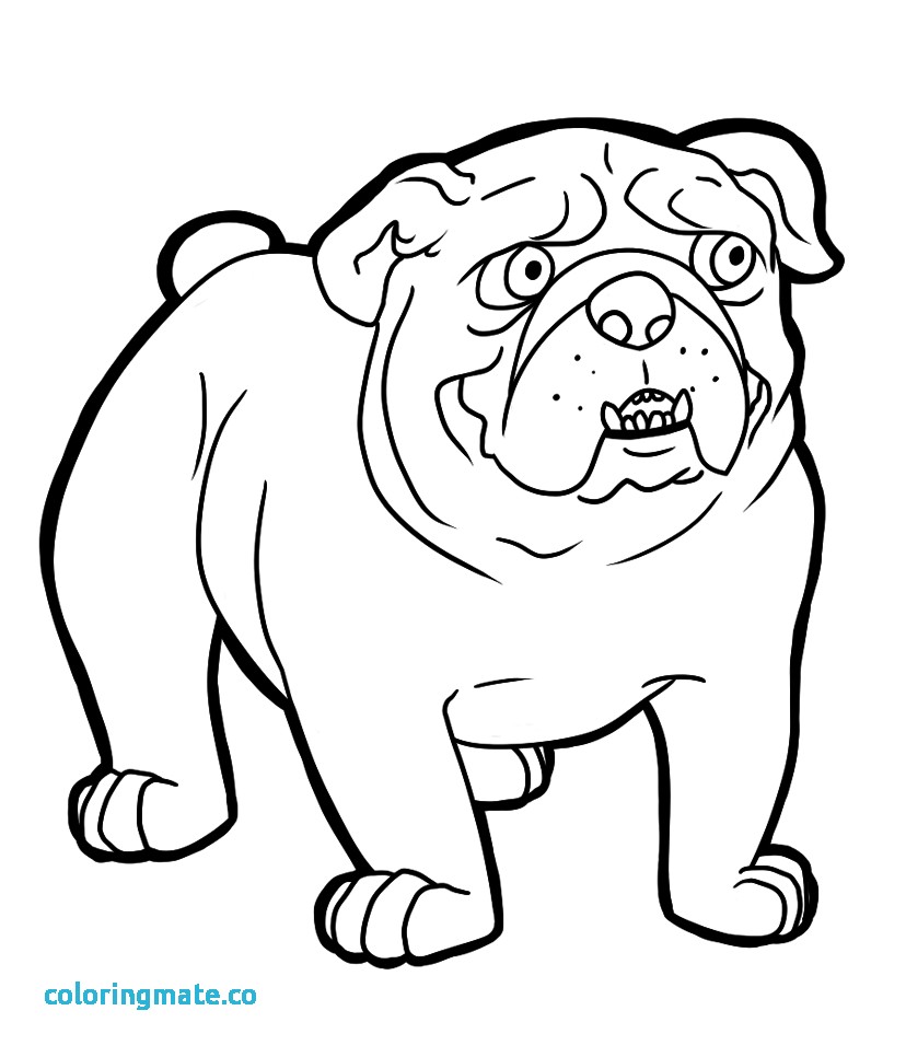 828x966 Bulldog Coloring Pages Awesome Old English Bulldog Coloring Pages