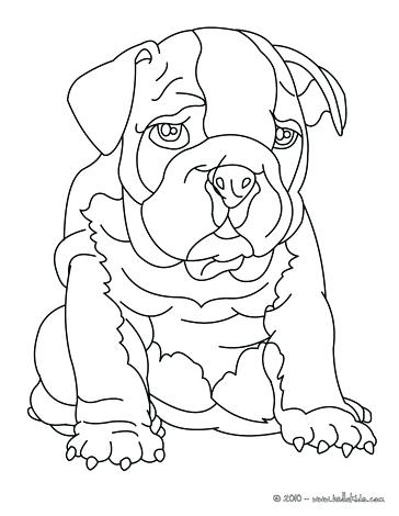 364x470 Bulldog Coloring Pages Printable Bulldog Coloring Sheets