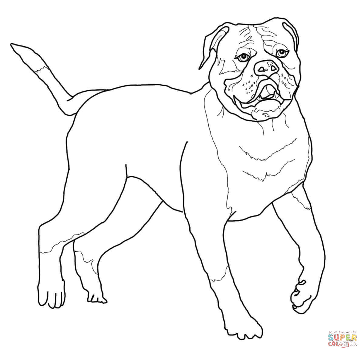 1200x1168 American Bulldog Coloring Page Free Printable Pages