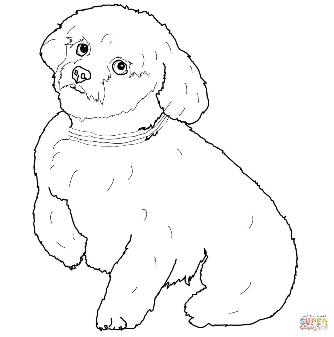 1160x1168 Valuable English Springer Spaniel Coloring Pages Dogs Free