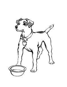 236x305 Welcome To Dover Publications Creative Haven Dogs Draw And Color