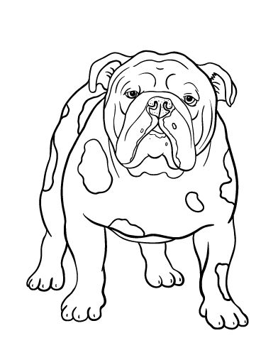 392x507 3167 Best Dog Patterns Images On Dog Pattern, Coloring