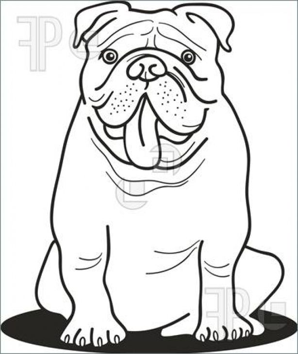614x730 95 Best Color Pages Images On English Bulldogs, Animal