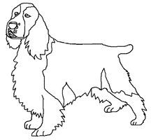 216x200 English Springer Spaniel Coloring Page Dog Patterns