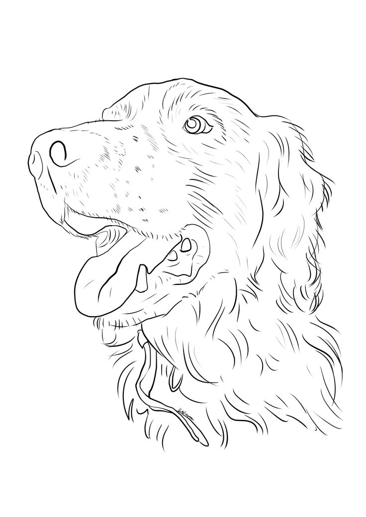 736x1040 33 Best Colouring Pages Images On Coloring Pages