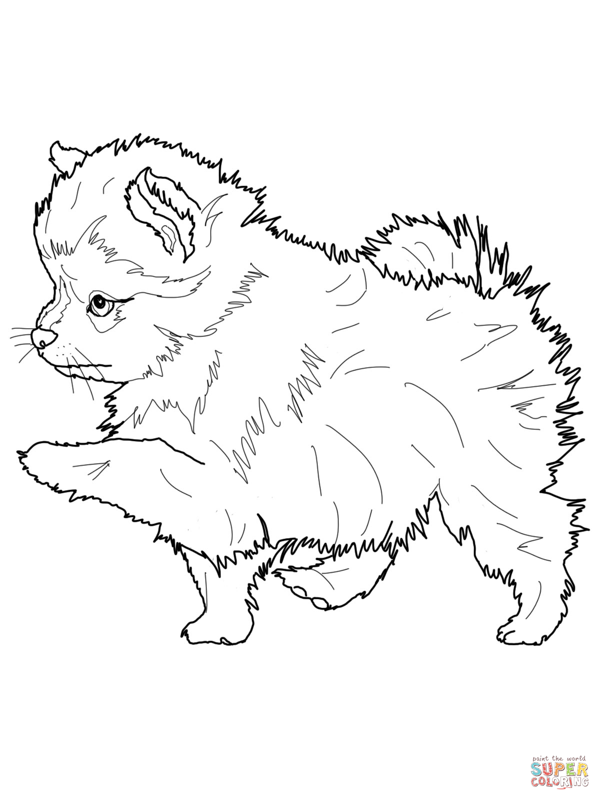 1200x1600 Realistic Dog Coloring Pages For Coloring Pictures Of Race Cars