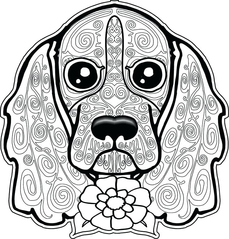 736x767 S Media Cache Dog Coloring Page Dog Coloring Pages Free Coloring