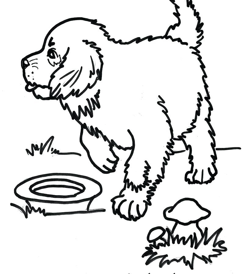 800x900 Saint Coloring Page Free Printable St Pages Animals Color Of Black