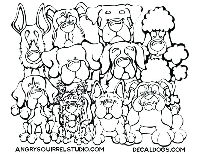 665x514 English Springer Spaniel Coloring Pages