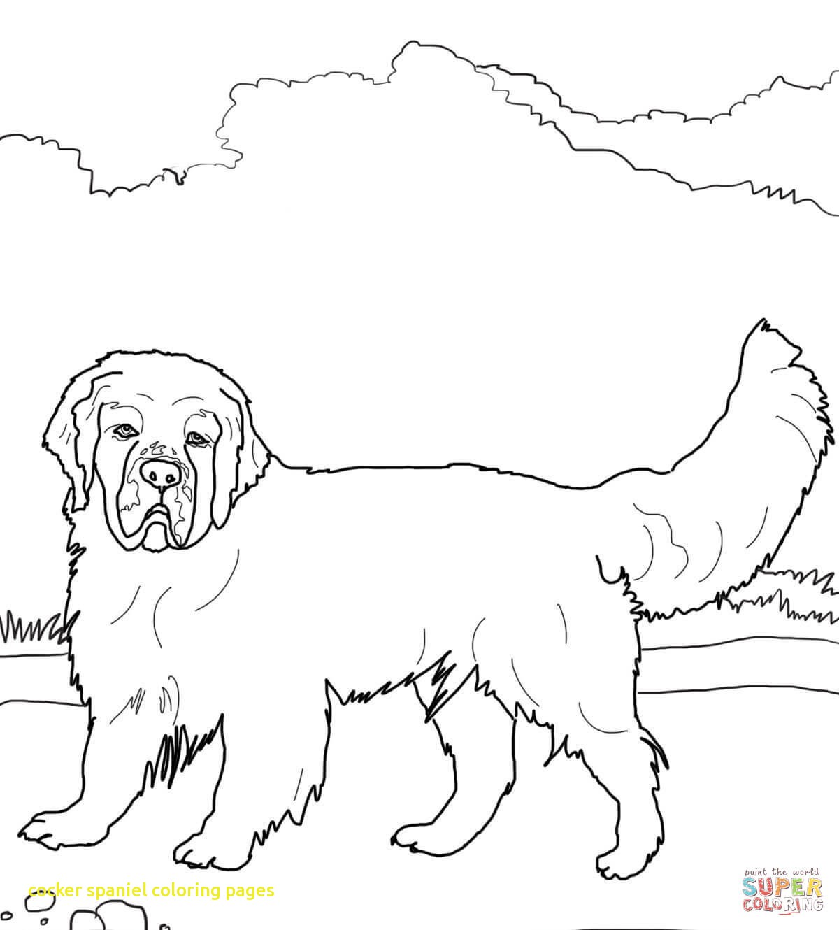 1200x1330 Cocker Spaniel Coloring Pages With Lps Coloring Pages Cocker