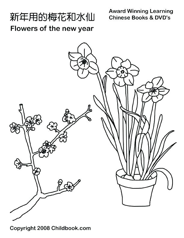 612x792 Monkey Coloring Page Free Printable Monkey Coloring Pages For Kids