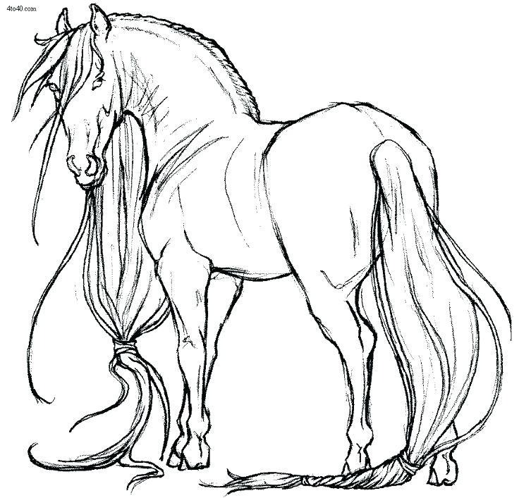 736x707 Horse Coloring Book Also Coloring Horse Pages Horse Coloring Pages