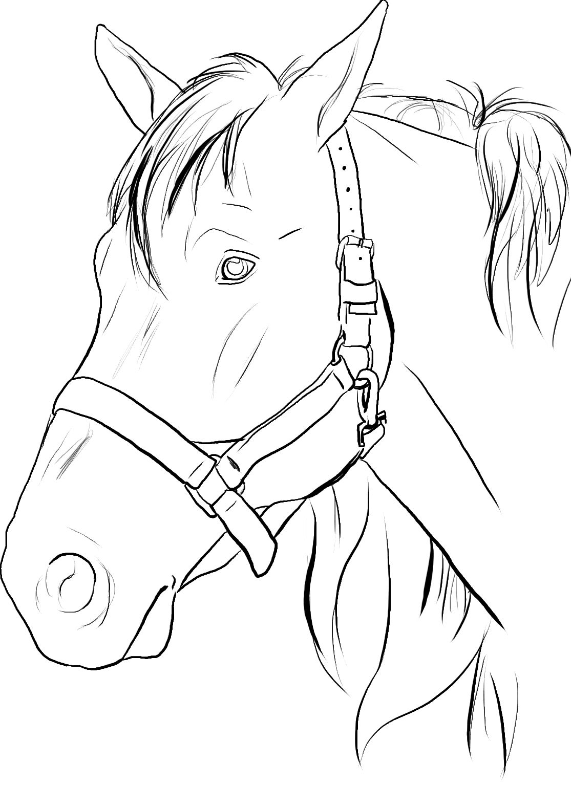 1115x1536 Horse Head Coloring Pages To Print