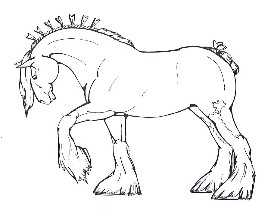 900x710 Coloring Page 2 Drawing By Lisa Nadler
