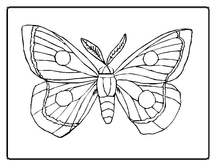 869x671 Eric Carle Coloring Page Ideas Coloring Pages And Caterpillar