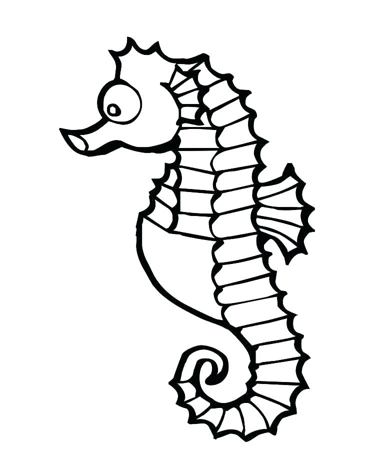 736x952 Eric Carle Coloring Pages Icontent
