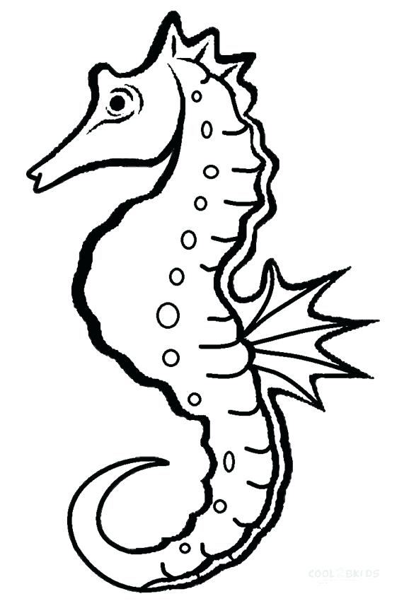 578x850 Outstanding Various Eric Carle Coloring Sheets Print Pages