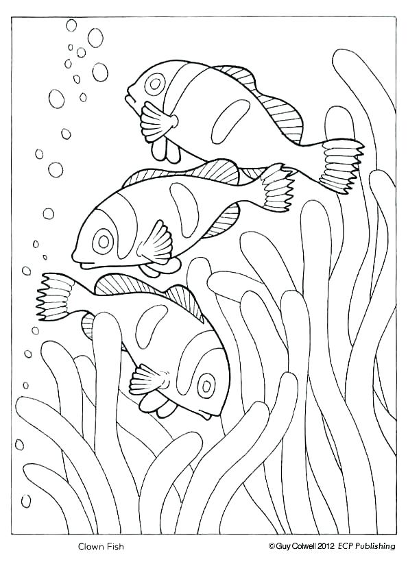 595x842 National Geographic Coloring Pages National Geographic National