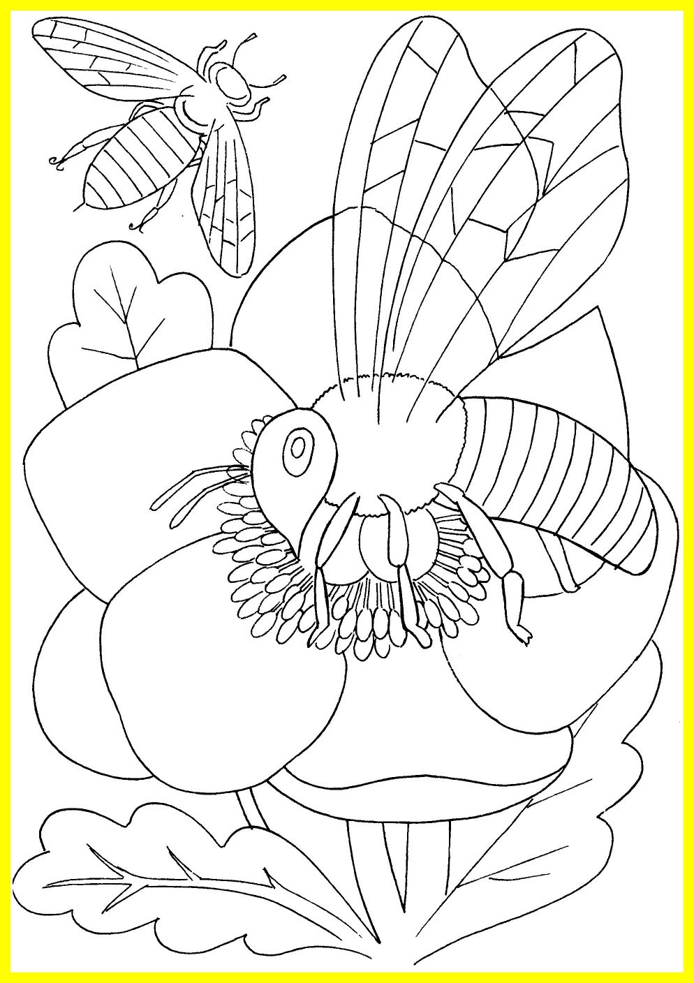 994x1408 The Best Of Weathering And Erosion Coloring Pages Collection