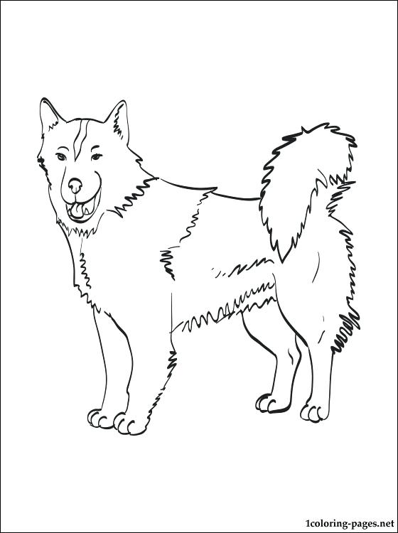 560x750 Eskimo Coloring Page Dog Coloring Page Eskimo Coloring Pages Free