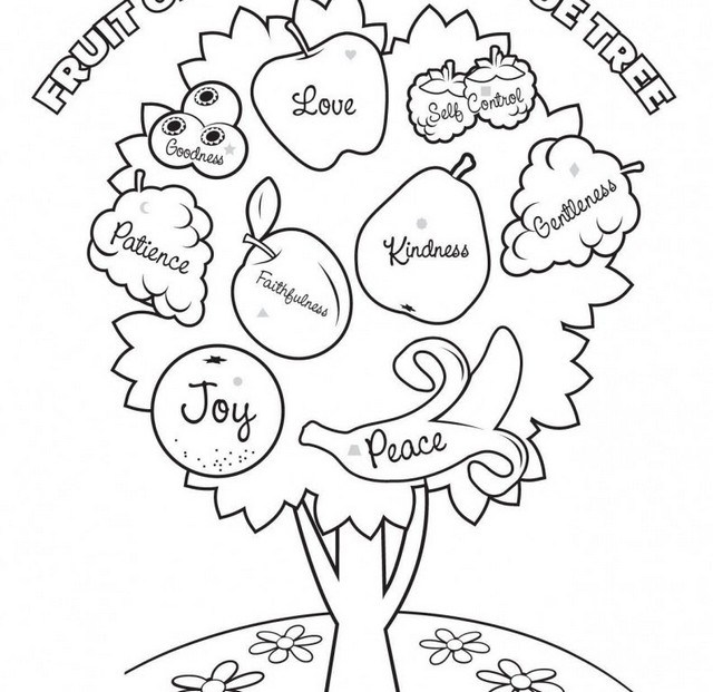 640x621 Fashionable Design Esl Fruit Coloring Pages Shishita World Com