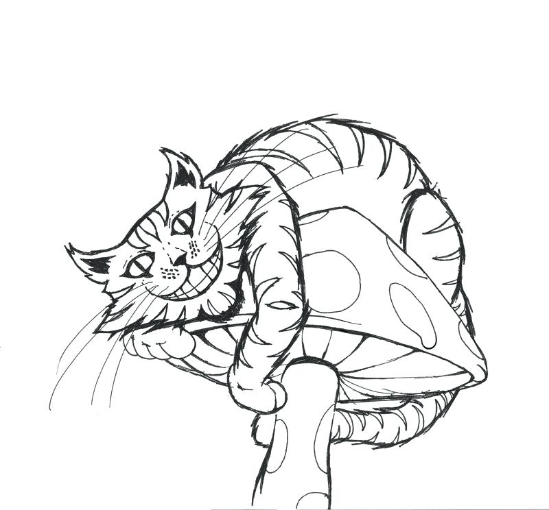 800x744 Drawn Cheshire Cat Kitty Cheshire Many Interesting Cliparts