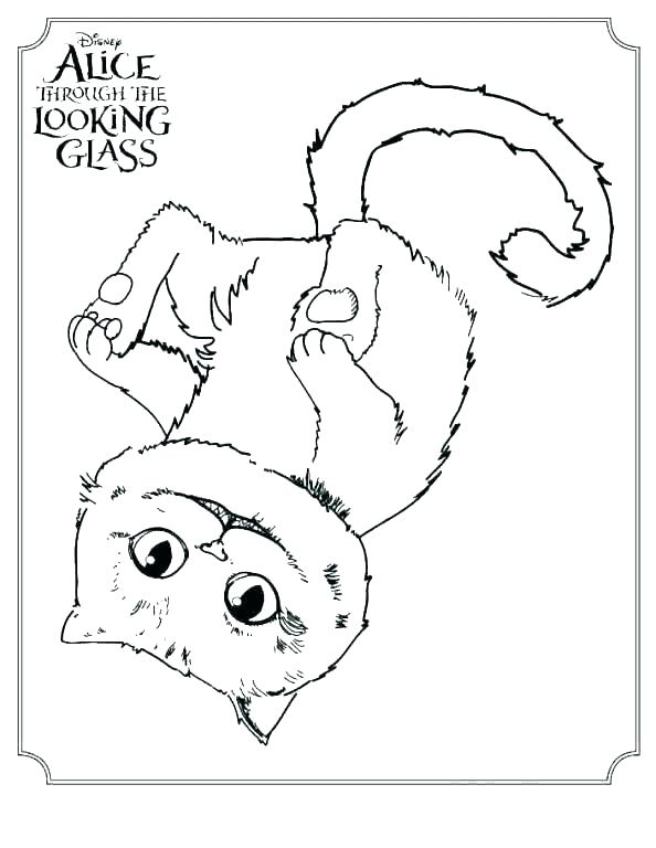594x768 Cheshire Cat Coloring Pages Cat Coloring Pages Kitty Cheshire