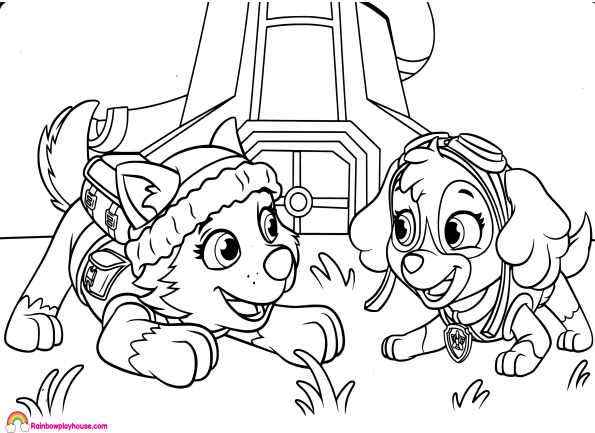 595x433 Paw Patrol Skye And Everest Coloring Page