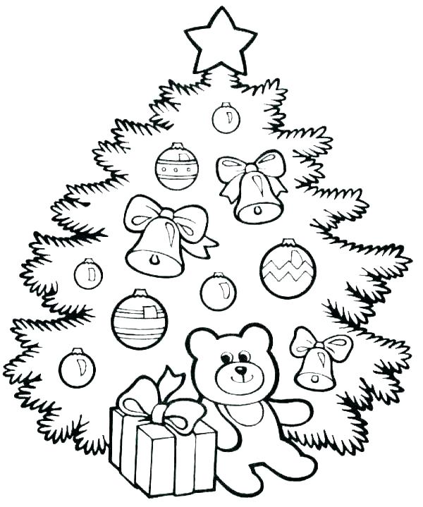 600x719 Coloring Tree Evergreen Tree Coloring Book Printable Coloring Palm