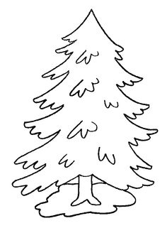 236x321 Evergreen Tree Outline Coloring Page Free Download