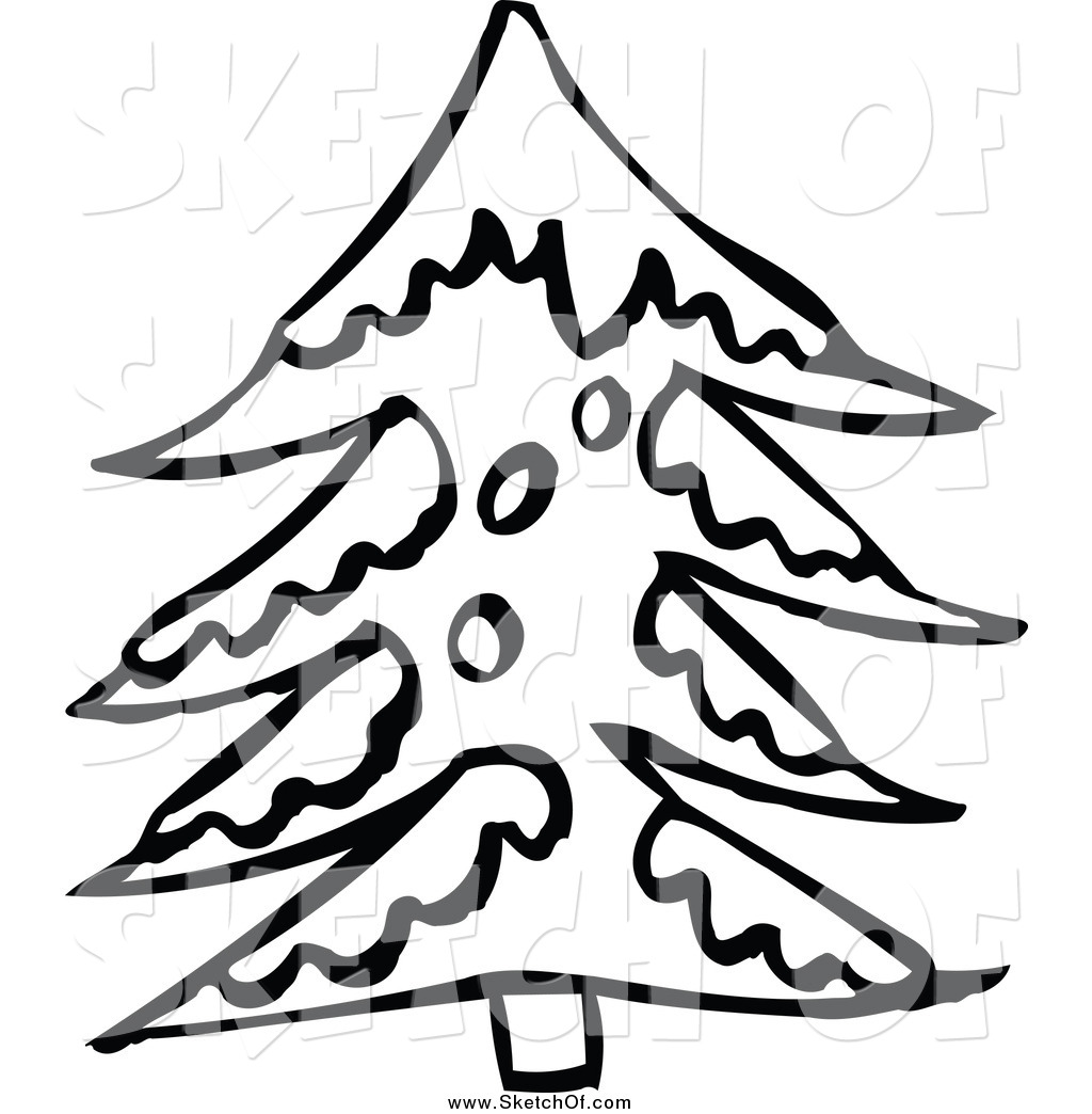 1024x1044 Monumental Evergreen Tree Outline Coloring Pag
