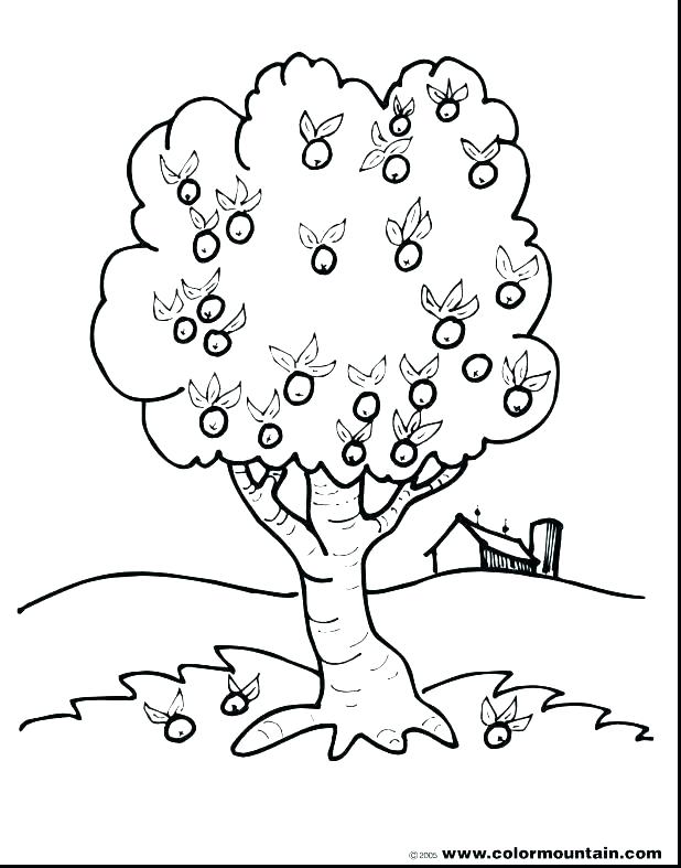 618x787 Coloring Book Page Apple Tree Jgheraghty.site