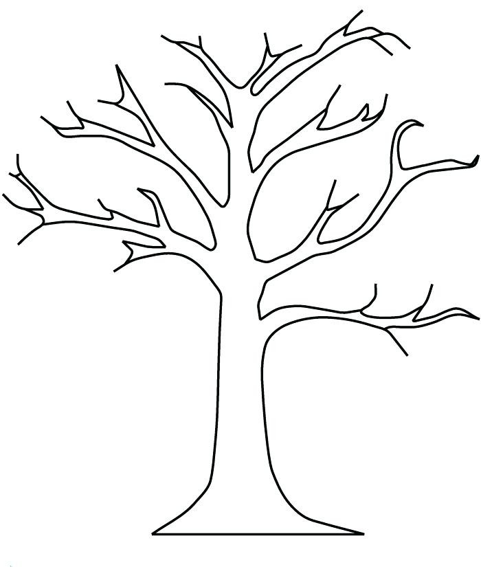 700x825 Coloring Page Of A Winter Tree Pages Evergreen Trees New