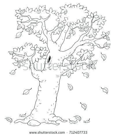 405x470 Four Seasons Autumn Tree Coloring Page Stock Illustration Stock