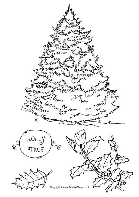 460x650 Holly Tree Colouring Page Patterns Holly Tree