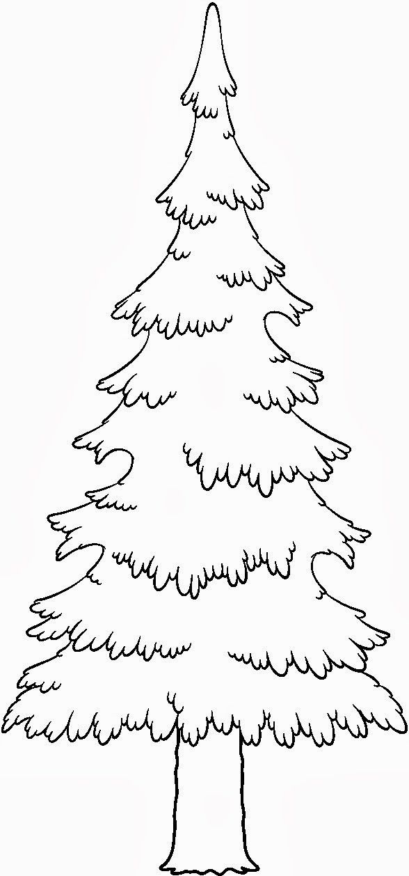 588x1258 Bear And Evergreen Tree Coloring Page