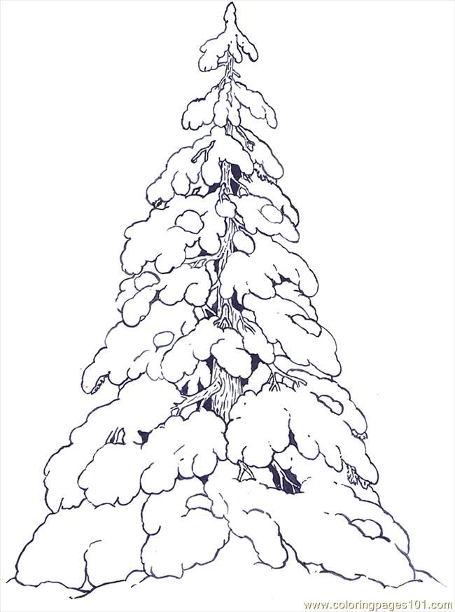 650x873 Free Printable Coloring Image Snow Covered Evergreens Reversed