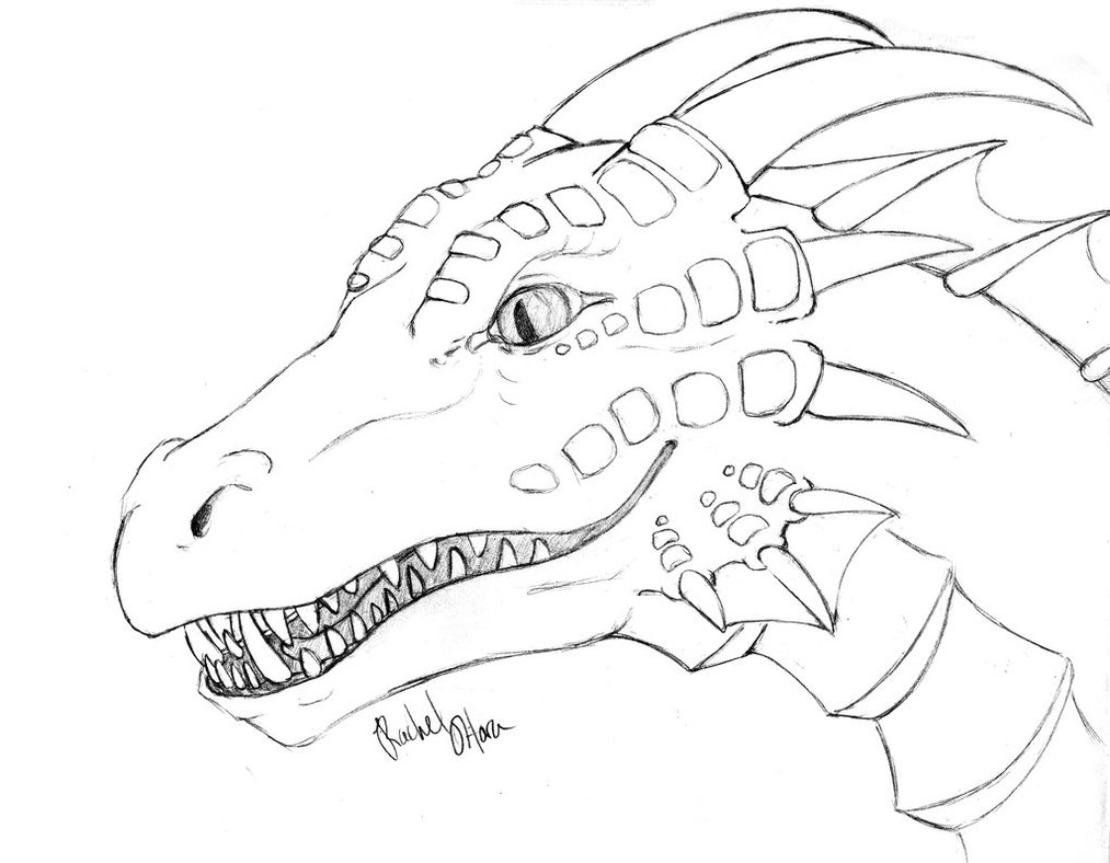 1013x788 Dragon Coloring Pages The Sun Flower Pages