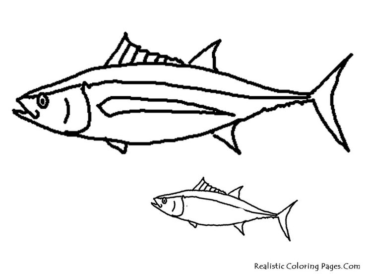 Exotic Fish Coloring Pages