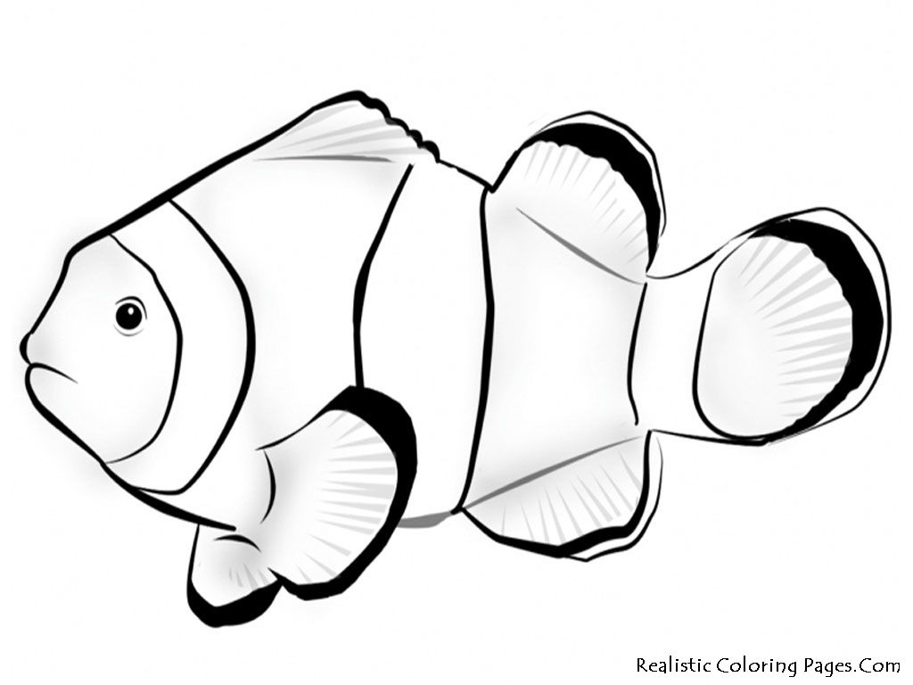 1024x768 Tropical Fish Coloring Pages Download This Printable Nemo Fish