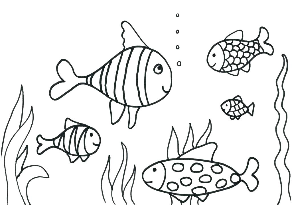 1024x724 Tropical Fish Coloring Pages Fish Coloring Pages For Adults Plus