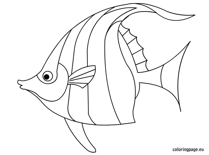 804x595 Tropical Flower Coloring Pages. Great Tropical Fish Coloring Pages