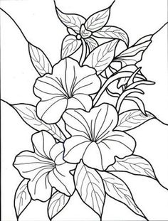 Exotic Flower Coloring Pages