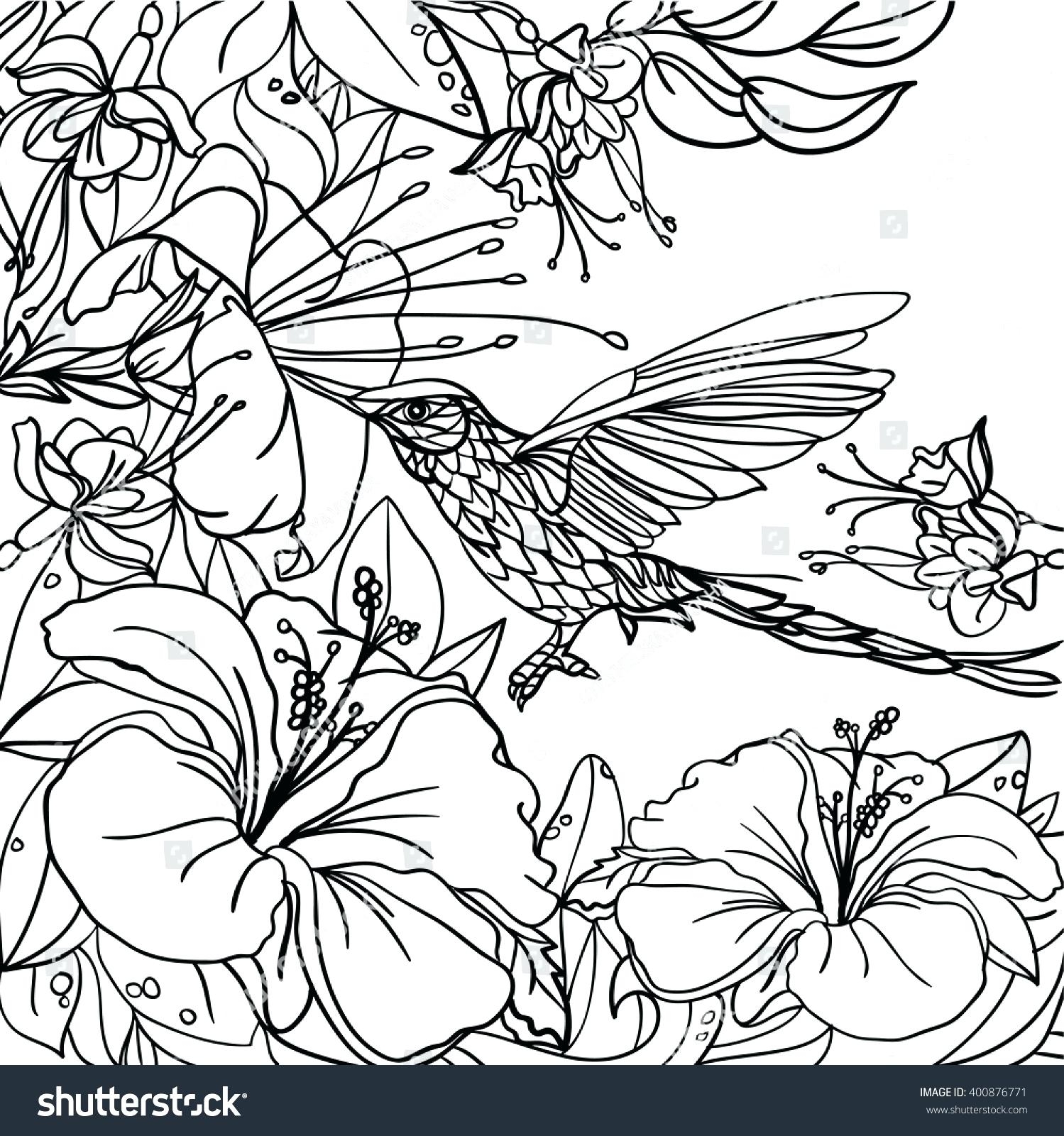1499x1600 Exotic Flower Coloring Pages Printable Coloring For Kids 2018