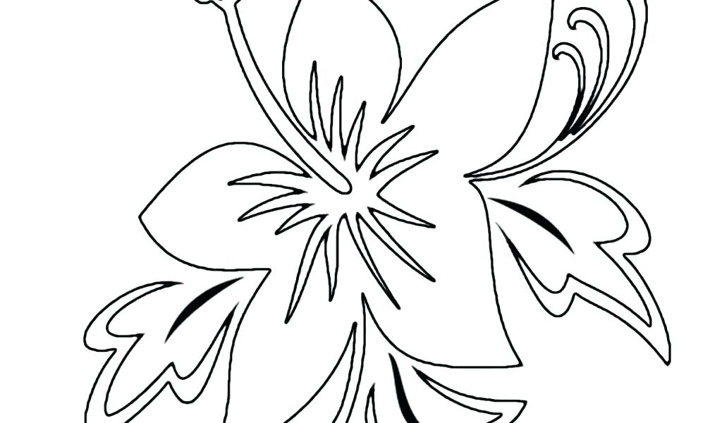 1024x600 Flowers Flower Tropical Flower Coloring Pages Sunflowers Flowers