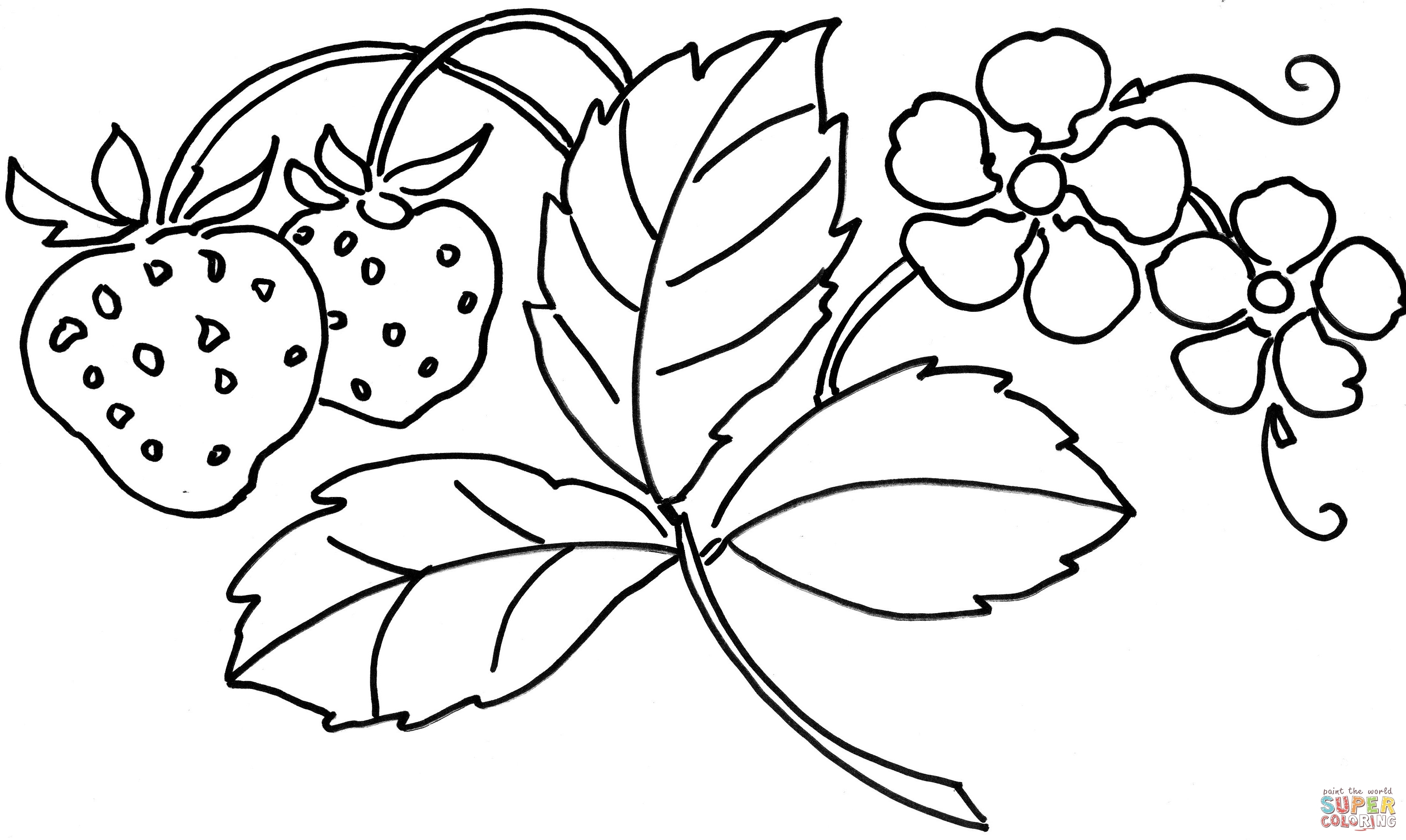 3420x2045 New Coloring Tropical Flower Coloring Pages For Adults Ly Exotic