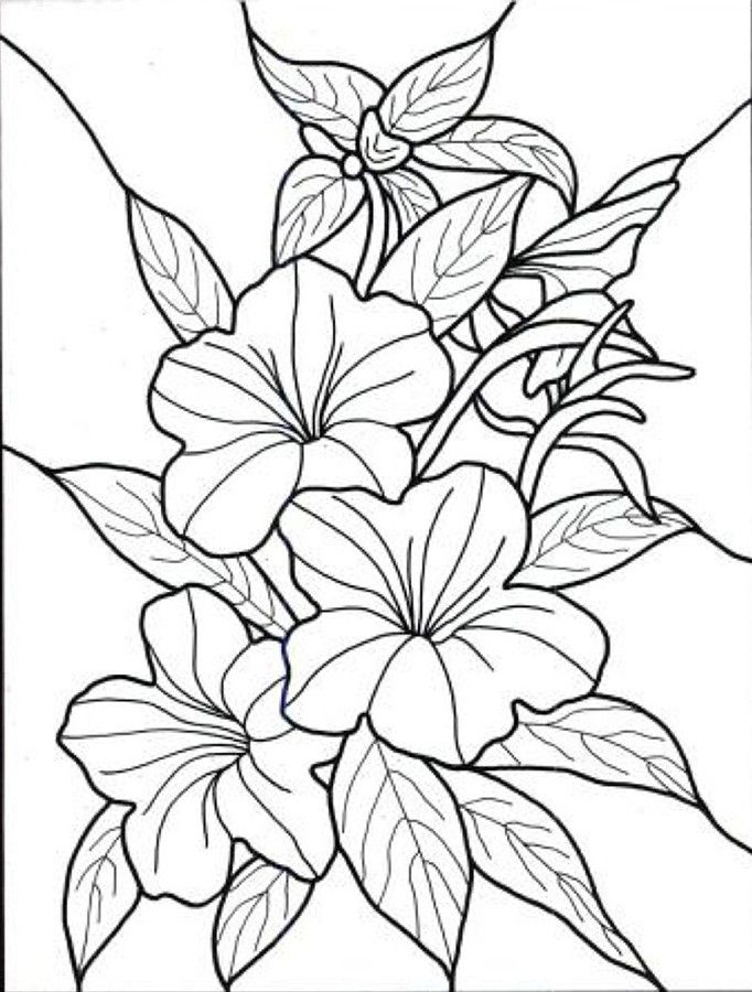 682x900 Tropical Flowers Stained Glass Coloring Book Hand Drawn