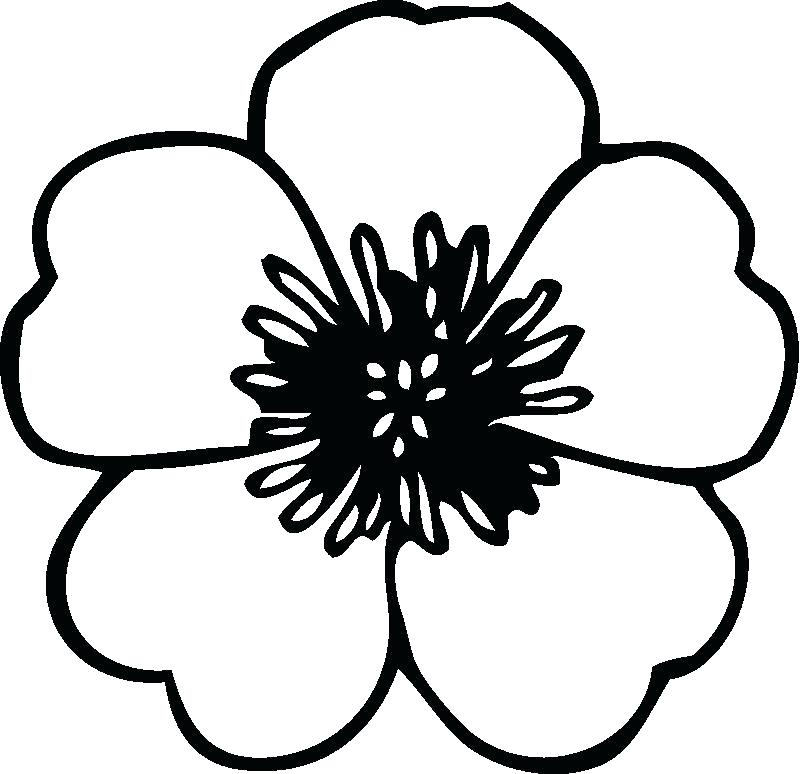 800x774 The Breathtaking Photo Below Is Segment Of Flower Coloring Pages