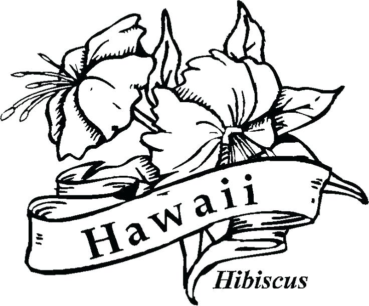736x611 Tropical Flower Coloring Pages Themed Coloring Pages Coloring